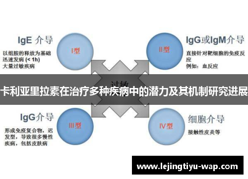 卡利亚里拉素在治疗多种疾病中的潜力及其机制研究进展