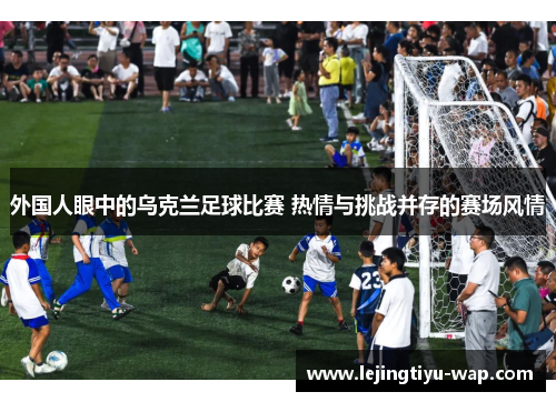 外国人眼中的乌克兰足球比赛 热情与挑战并存的赛场风情