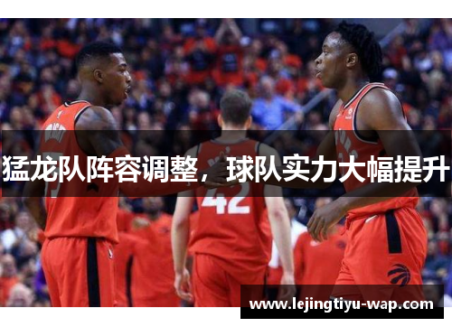 猛龙队阵容调整，球队实力大幅提升
