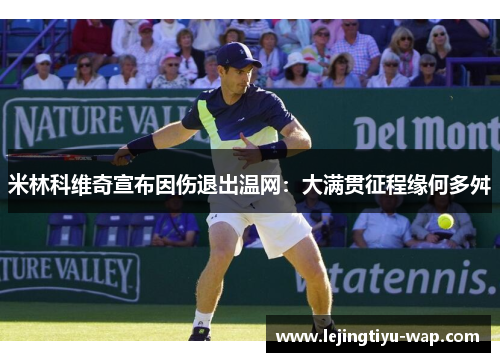 米林科维奇宣布因伤退出温网：大满贯征程缘何多舛