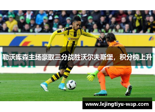 勒沃库森主场豪取三分战胜沃尔夫斯堡，积分榜上升