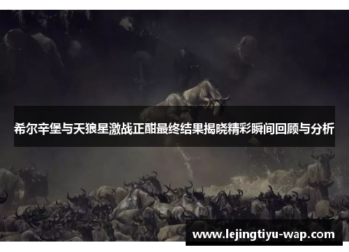 希尔辛堡与天狼星激战正酣最终结果揭晓精彩瞬间回顾与分析
