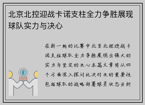 北京北控迎战卡诺支柱全力争胜展现球队实力与决心